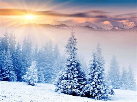 Landscapes Winter Snow Trees Hdr Photography Wallpaper 2560x1920