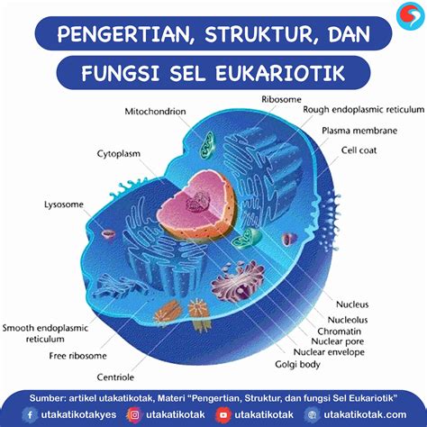 Apa yang dimaksud dengan organisme prokariotik dan eukariotik