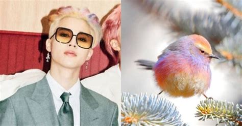 Produced by ron perry, rob grimaldi & stephen kirk. BTS Jimin's Rainbow Cotton Candy Hair Earns Him A New ...
