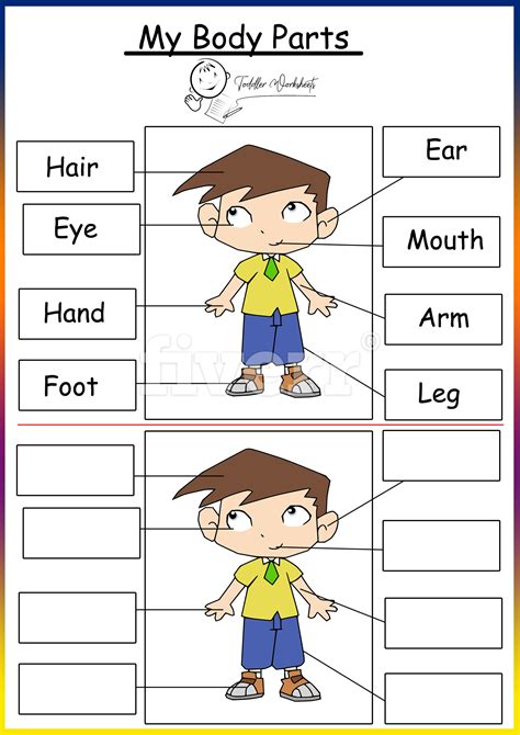 The first is labeled download which will prompt you to download the pdf version of this. Pin on preschool themes worksheets