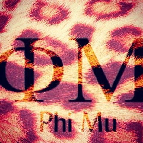 Quite possibly the best sorority out there! Phi Mu (With images) | Phi mu, Phi, Sorority life