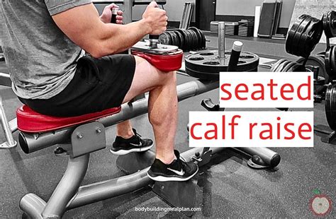 Seated Calf Raise With Machine 3 Alternatives You Can Do At Home