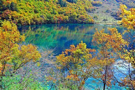 1600x2560 Crystalline Turquoise Lake Jiuzhaigou National Park China