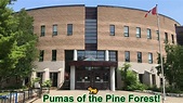 Pine Ridge Secondary School - YouTube