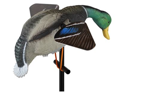 Collection of Duck Hunting PNG HD. | PlusPNG png image