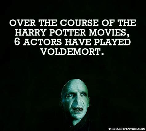Harry Potter More Harry Potter Facts No Muggles Actors Funny