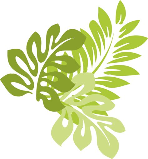 Download High Quality Leaf Clipart Jungle Transparent Png Images Art