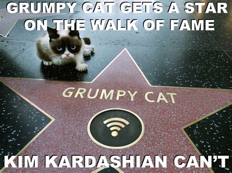 A meme is a picture with an added caption. Grumpy cat gets a star on the walk of fame, kim kardashian ...