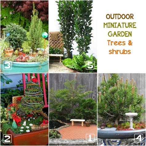 Best Plants For Miniature Gardens Resource Guide