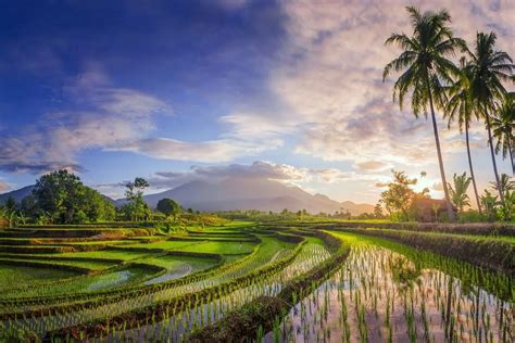 Indon Sie Les D Tails De La Prochaine Taxe Touristique Bali Visasnews