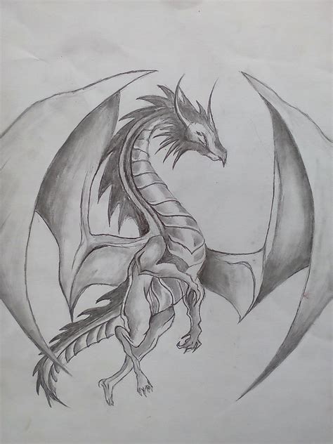 Dragon Sketch Images At Explore Collection Of