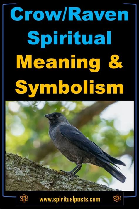 Raven And Crow Spiritual Meanings And Symbolism Biblically Spiritual Posts