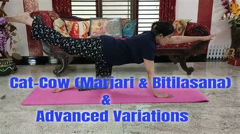 Bitilasana Marjaryasana Cat Cow Poses In Bharmanasana Or TableTop