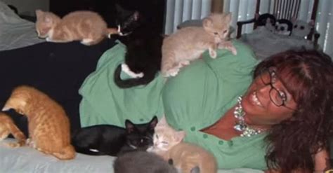 Are You A Crazy Cat Person This Cute Video Will Tell You Once And For