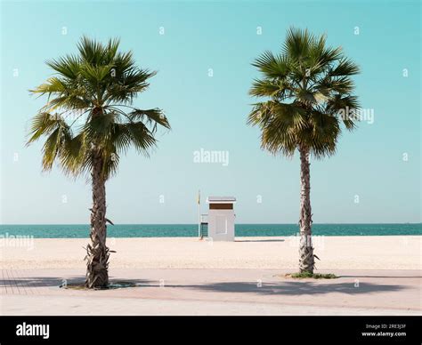 Two Palm Trees On The Beach In Dubai Stock Photo Alamy