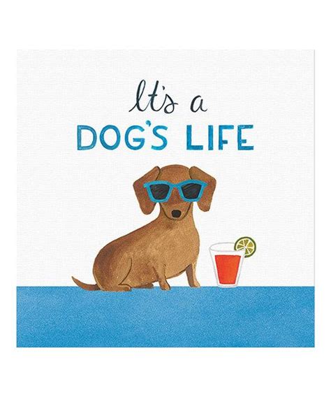 Something Special Every Day Dog Life Clever Dog Dachshund Love