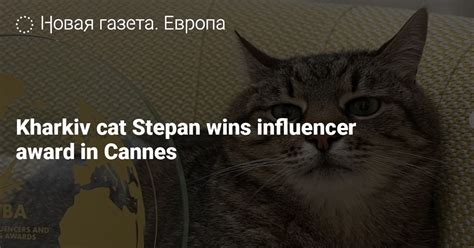 Kharkiv Cat Stepan Wins Influencer Award In Cannes — Новая газета Европа