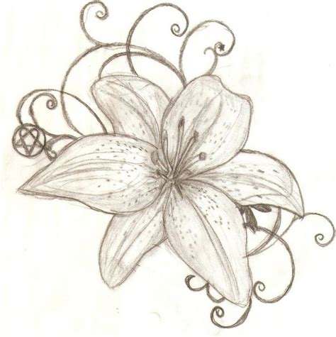 X Lily Flower Drawing Tiger Lily Flower Drawing Lilies