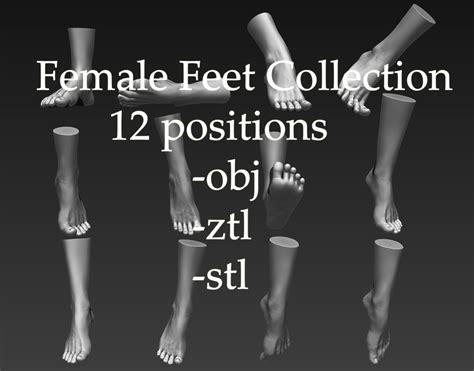 12 Female Feet 3d Model Cgtrader