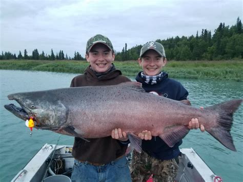 Kenai River King Salmon The Alaska Dream