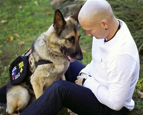 Apply deep pressure to mitigate sensory overstimulation. How a service dog helped this veteran keep his family ...