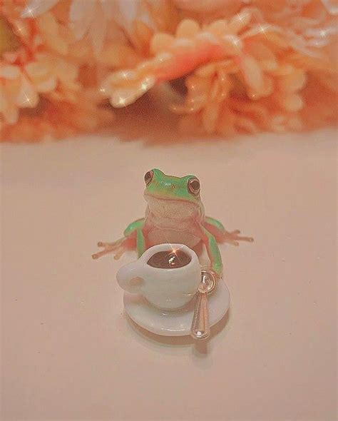 Pin By ° 𝒍𝒊𝒂𝒋𝒊𝒔𝒆𝒍𝒆 ° On Pins Ive Posted Frog Wallpaper Cute