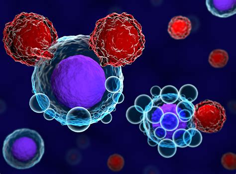 Autologous Cell Therapy Requires Agility in the Cold Chain