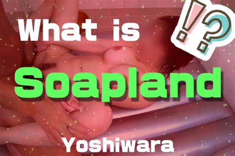 How To Enjoy A Soapland Escorts Tokyo Japan Escorts Tokyo
