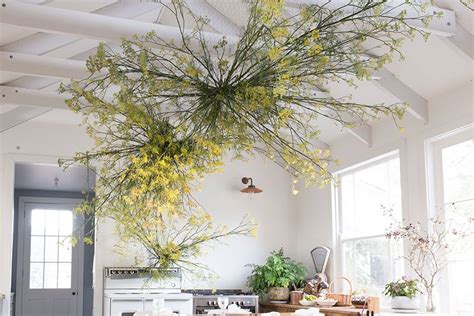 Spring Inspiration A Tree In The House Annabelle Hickson Lobster