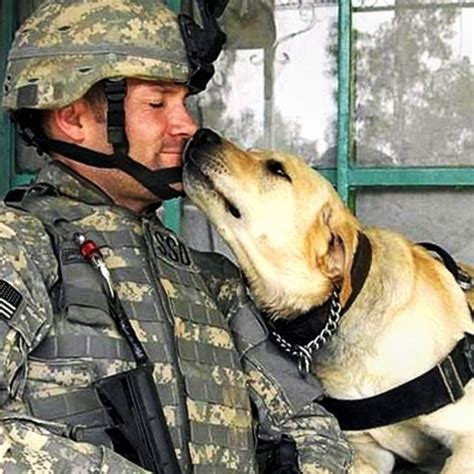 30 Stunning Photos Of Soldiers And Their Dogs That Speak For Themselves