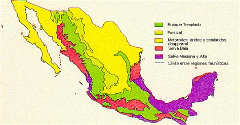 Mapa De Los Ecosistemas En México