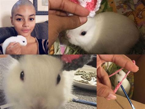 Bunny Born With No Ears Gets The Cutest Crocheted Prosthetics From The Owner The Frisky