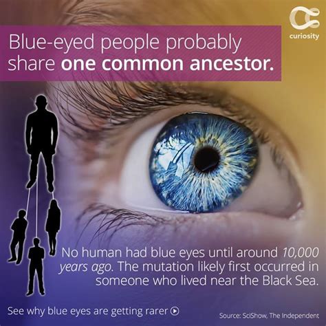 Youre Going To Love This Content People With Blue Eyes Blue Eyes
