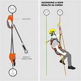 Hand Ascender Tree Climbing Images