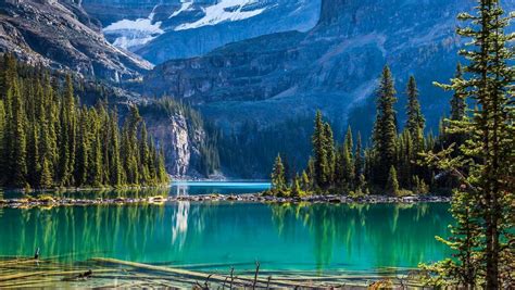 Support us by sharing the content, upvoting wallpapers on the page or sending your own. Yoho Lake - Bing Wallpaper Download