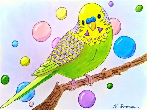 Funky Watercolour Budgie Art Bird Drawing Parakeet Art Bird