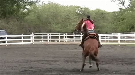 Women Horse  Find And Share On Giphy