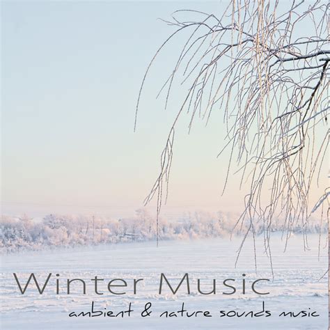Winter Music Ambient And Nature Sounds Music For Winter Time Morning
