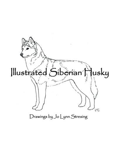 Illustrated Siberian Husky Drawings - AbeBooks