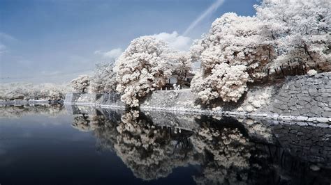 🔥 Download Wallpaper Japan Coast River Stone Trees Landscape Sky By