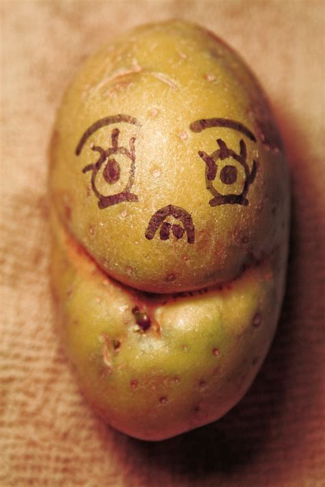 Potato Face Free Stock Photo Public Domain Pictures