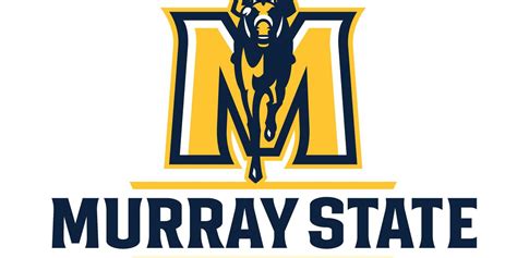 Apply for the cbse scholarship 2021 and receive financial support for higher education. Murray State University's 2021-22 scholarship application now open