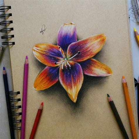 √ colored pencil flower drawings