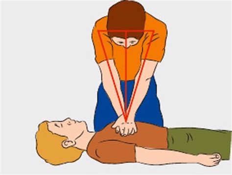 Cardiopulmonary Resuscitation Cpr First Aid Artofit