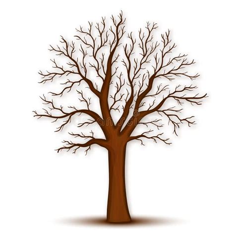 Drzewo Bez Liści Wektorowych Ilustracja Wektor Ilustracja Złożonej Z