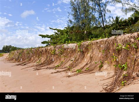 Coastal Erosion Cairns Australia Stock Photo Alamy