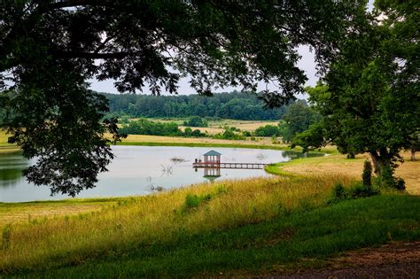 Free Images Landscape Tree Nature Forest Dock Farm Meadow