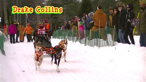 2016 Three Bear Sled Dog Race Part 1 4 Dog Pro Youtube