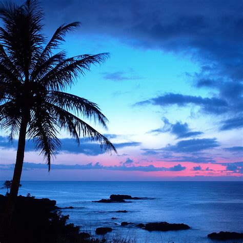 Tropical Island Pretty Pink Blue Sunset Landscape