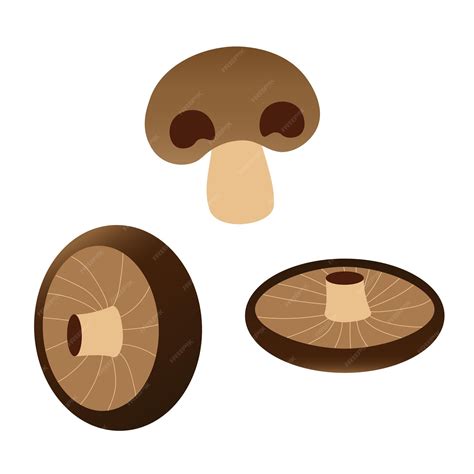 Premium Vector Mushrooms Illustration Set